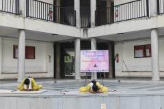 International Yoga Day 2026